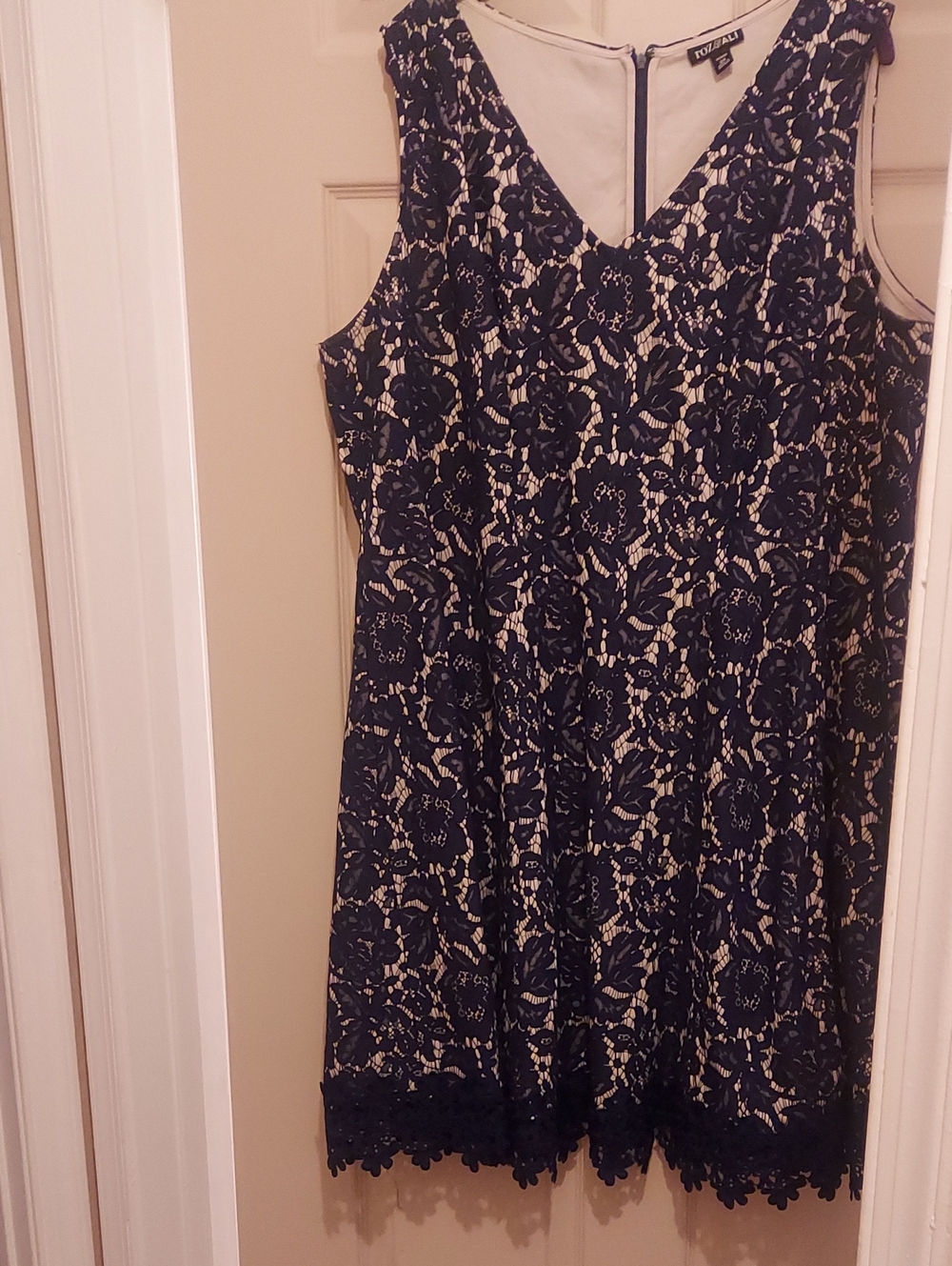 Roz & Ali Navy Lace A-Line Mini Dress with Cream Lining